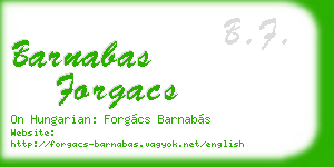 barnabas forgacs business card