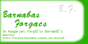 barnabas forgacs business card
